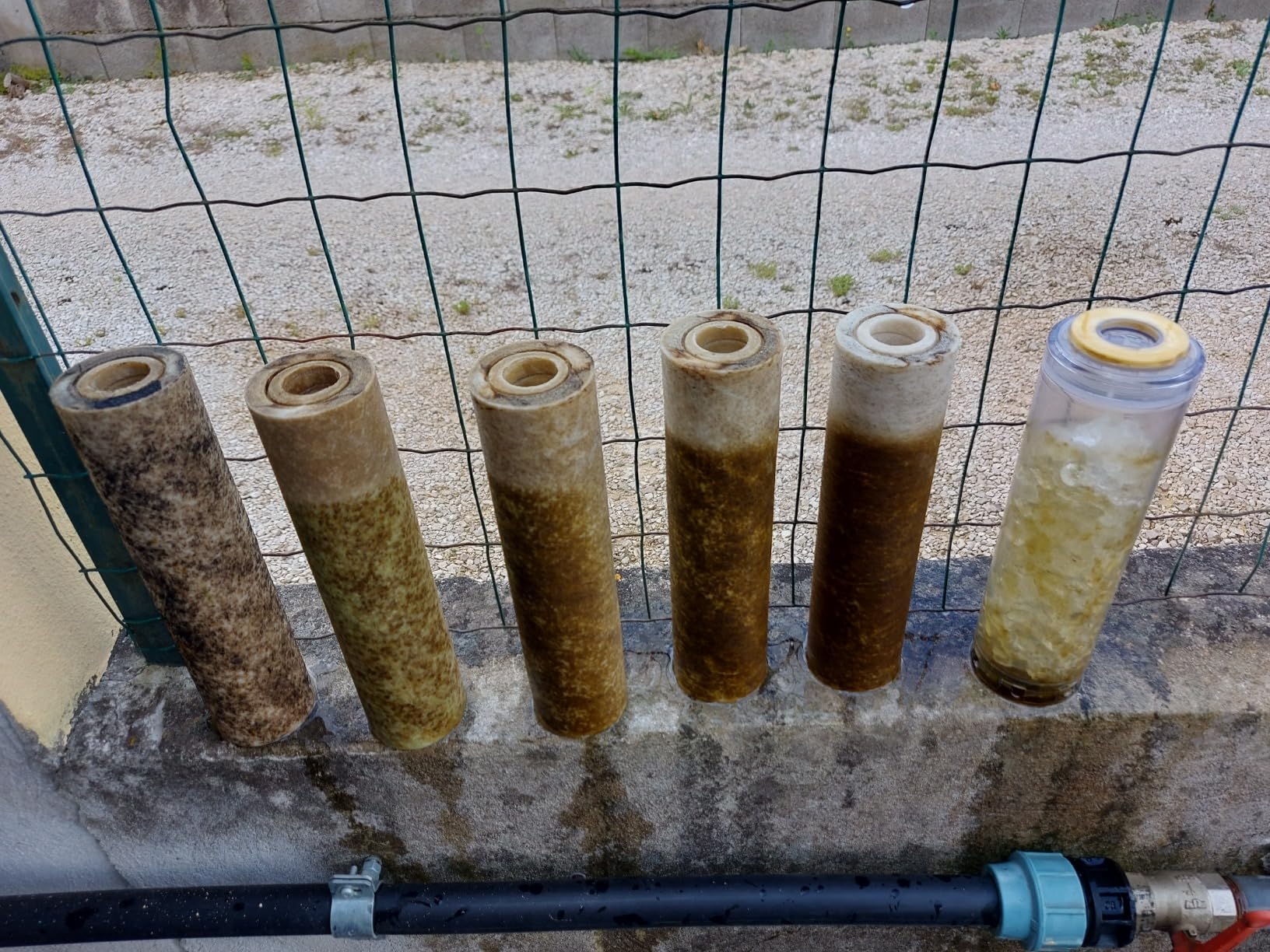 Bellerofonte 10 pollici cartucce sedimenti 20 pezzi 1 micron