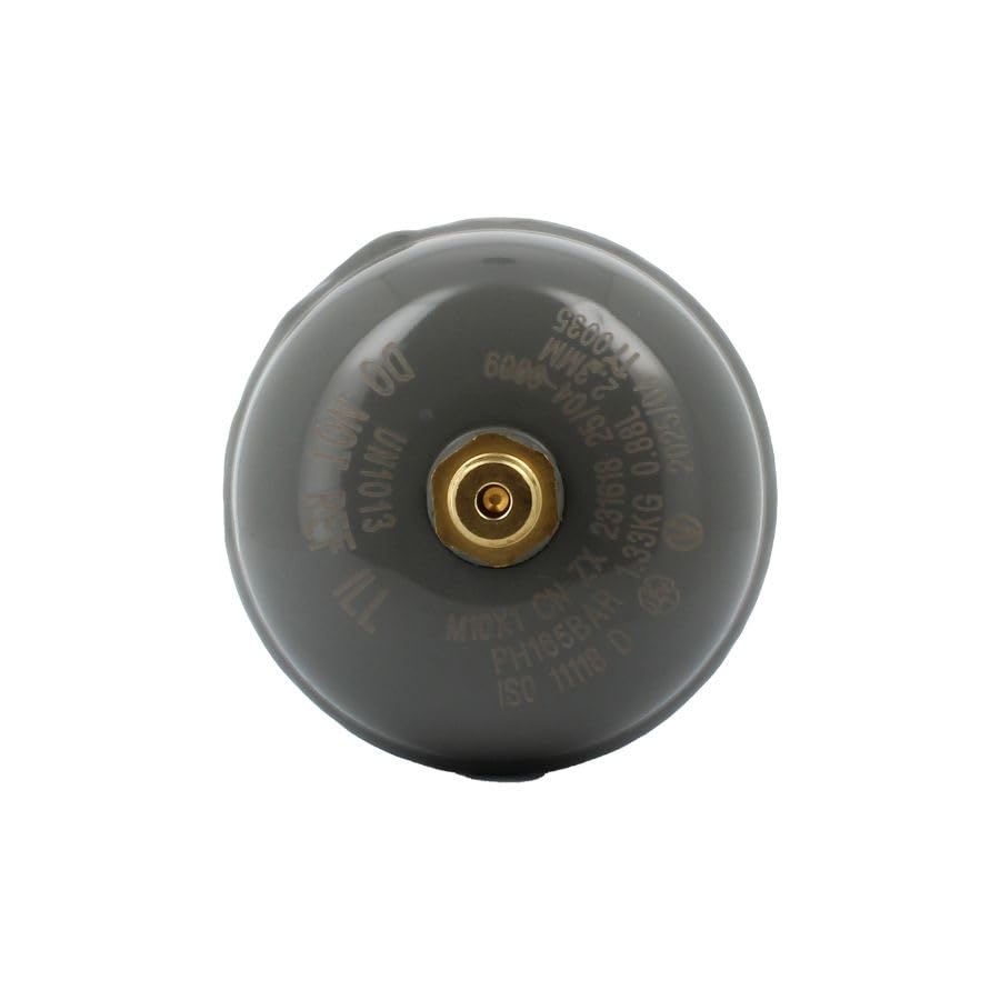 Bellerofonte Bombola CO2 600g E290 Gasatore 1 Pezzo