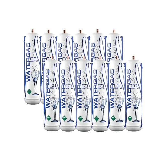 Bellerofonte bombole CO2 600g M11x1 E290 12 pezzi