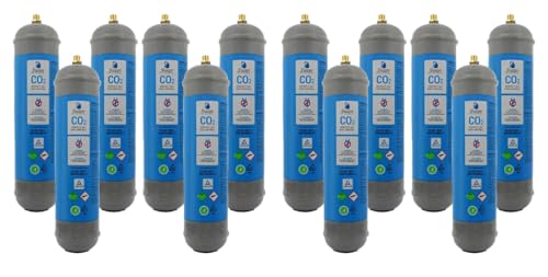 Bellerofonte Bombola CO2 600g per Gasatore 12 Pezzi E290