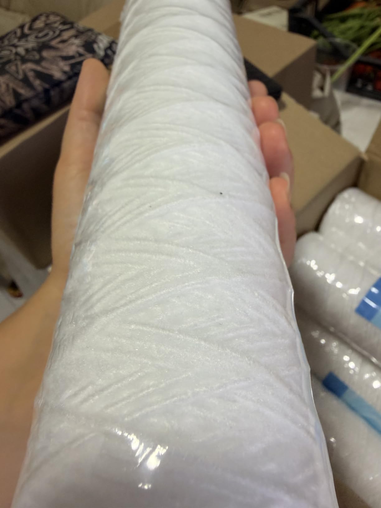 Bellerofonte Cartuccia Filtro Acqua 10" 25 Micron 1 Pezzo