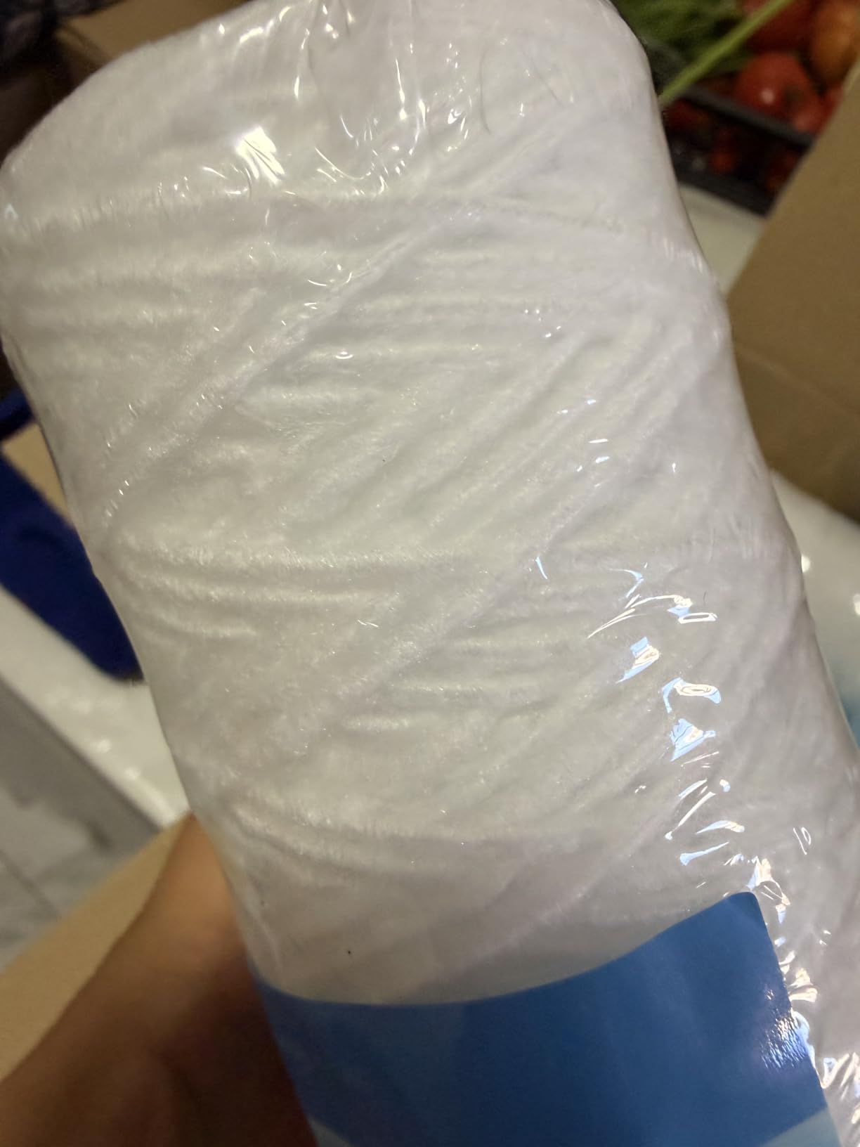 Bellerofonte Cartuccia Filtro Acqua 10" 25 Micron 1 Pezzo