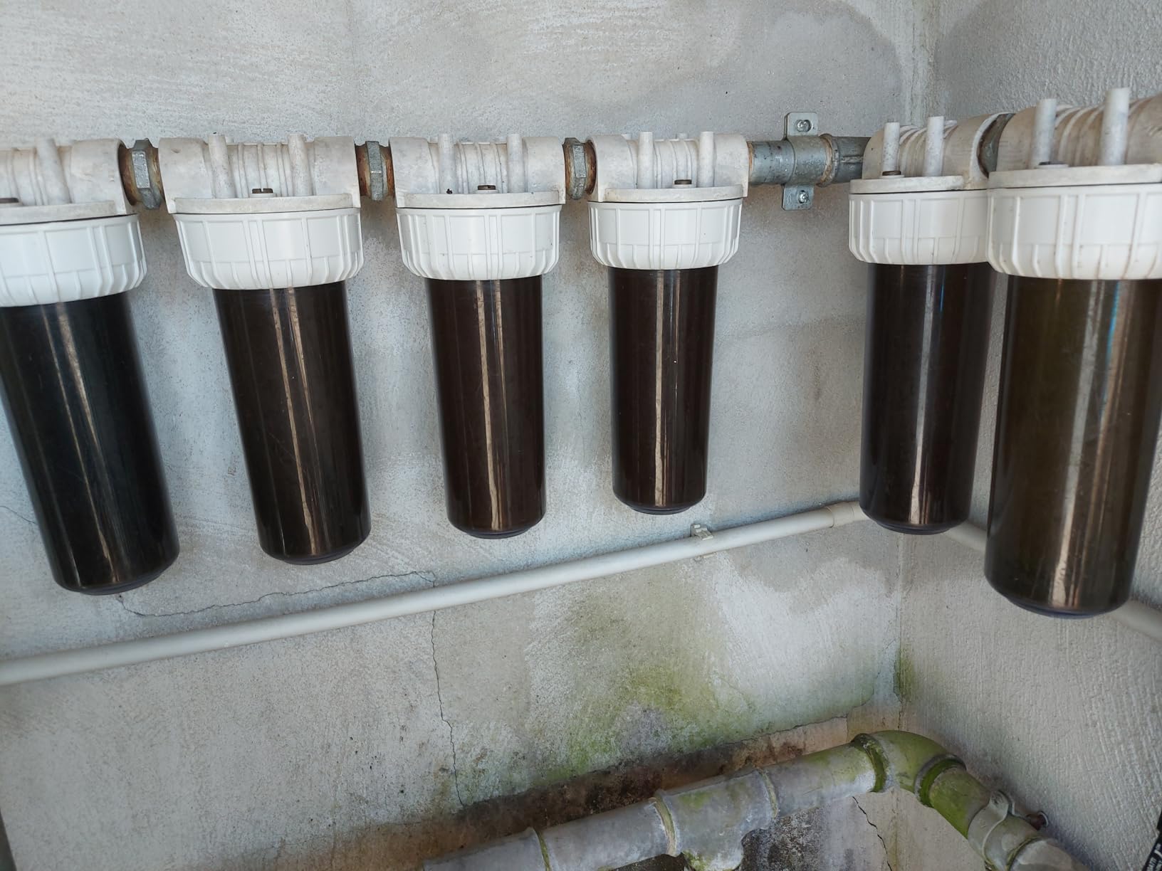 Bellerofonte 10 pollici cartucce sedimenti 20 pezzi 1 micron