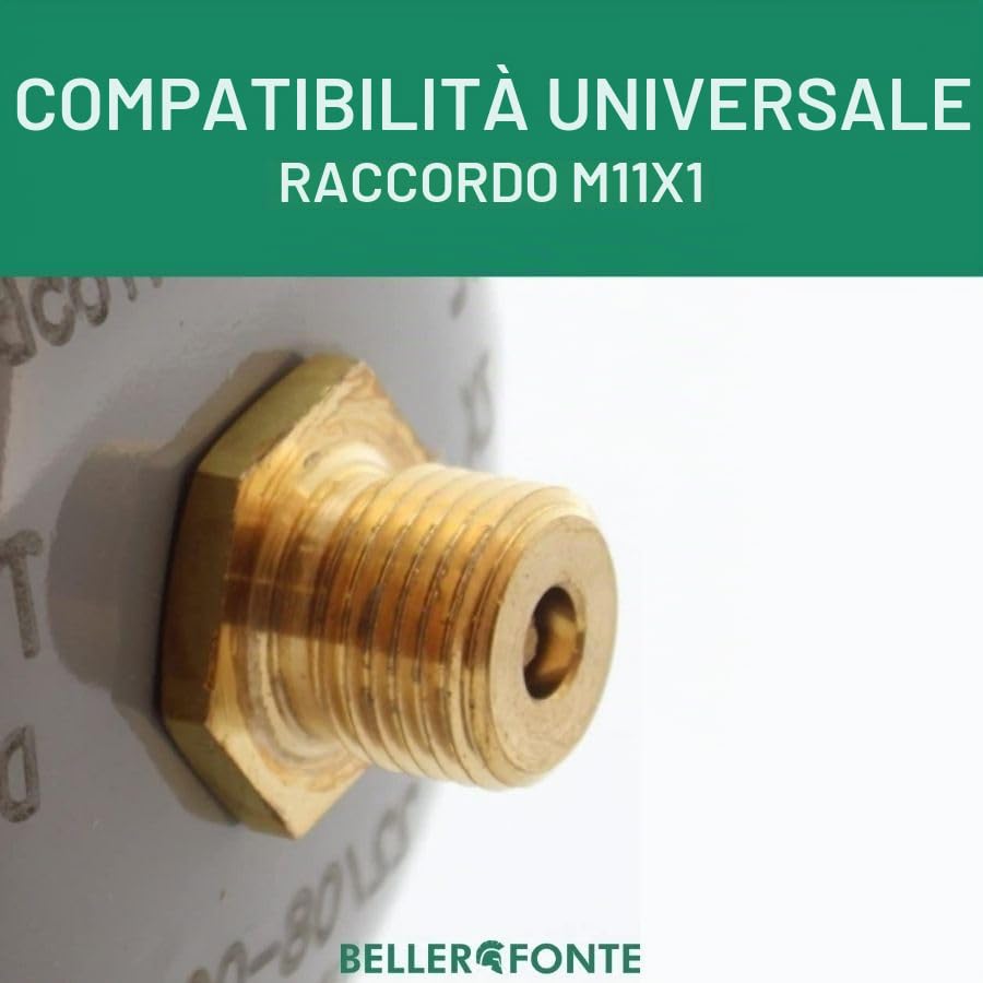 Swan Bombole CO2 600g per Gasatore 3 Pezzi E290 Alimentare