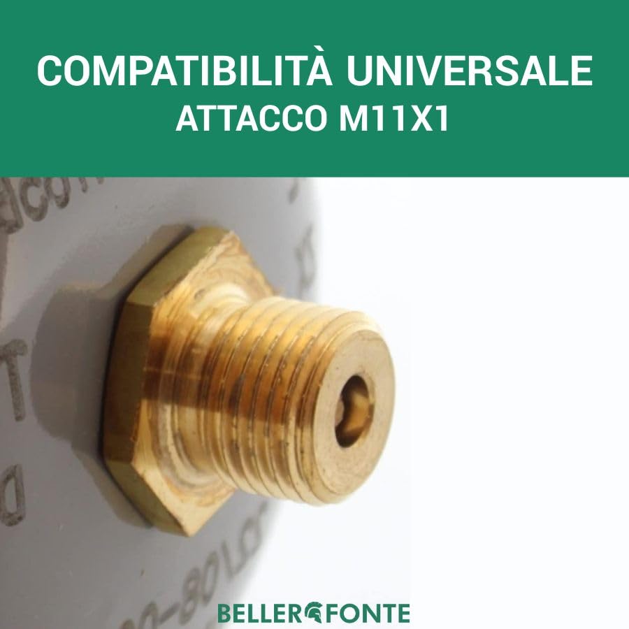 Bellerofonte Bombola CO2 600g E290 M11x1 Set 8 Pezzi