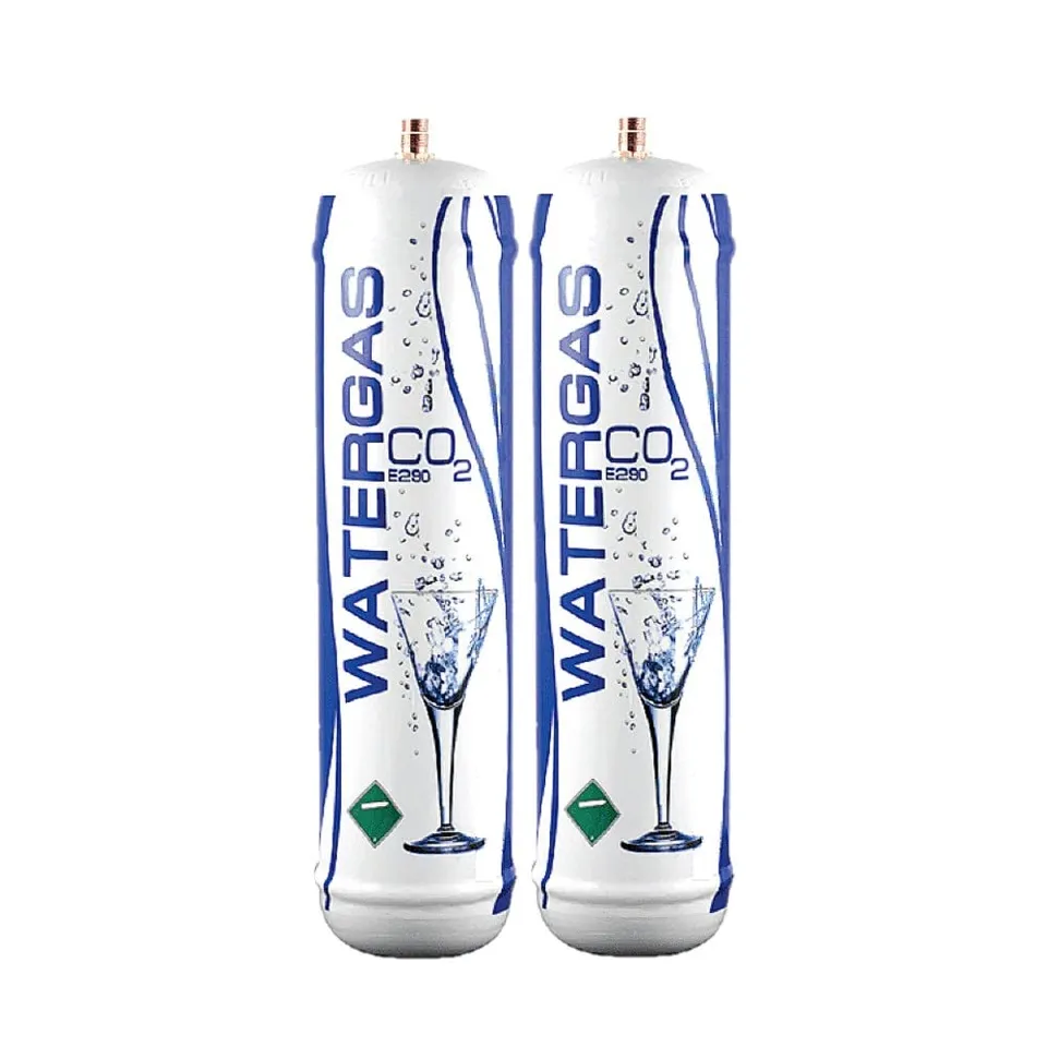 Bellerofonte Bombole CO2 600g per Gasatore 2 Pezzi E290