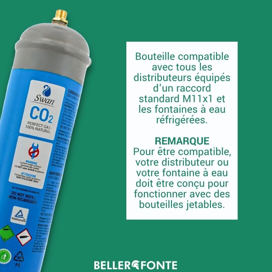 Bellerofonte Bombole CO2 600g E290 Gasatore 6 Pezzi