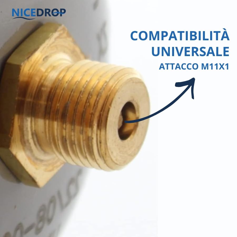 Bellerofonte CO2 600g E290 bombola gasatore 6 pezzi M11x1