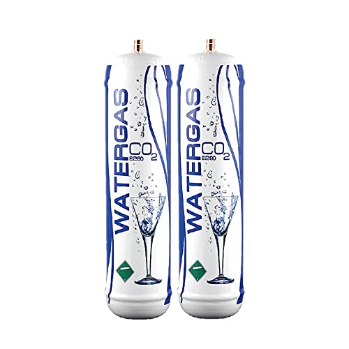 Bellerofonte Bombole CO2 600g per Gasatore 2 Pezzi E290