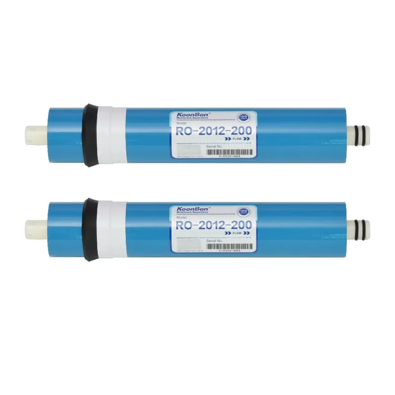 Bellerofonte Membrana RO-2012-200 GPD residenziale 2 pezzi