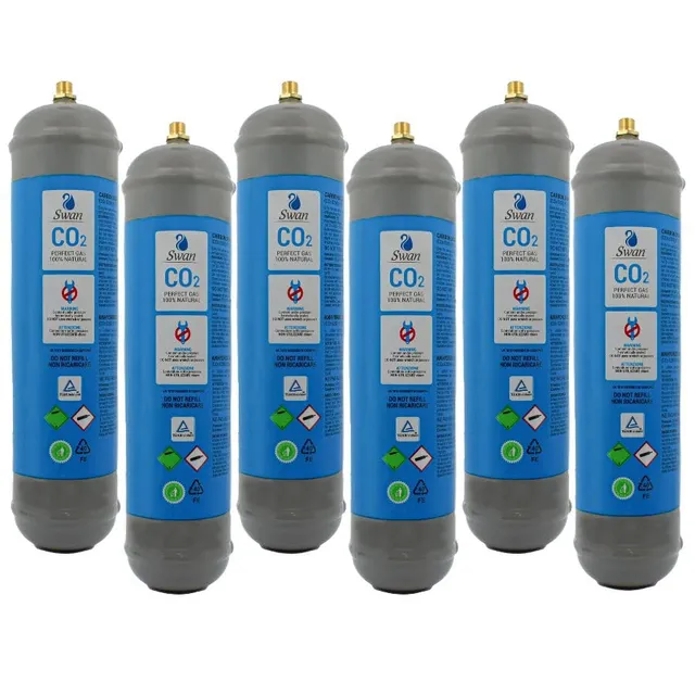 Bellerofonte Bombole CO2 600g E290 Gasatore 6 Pezzi