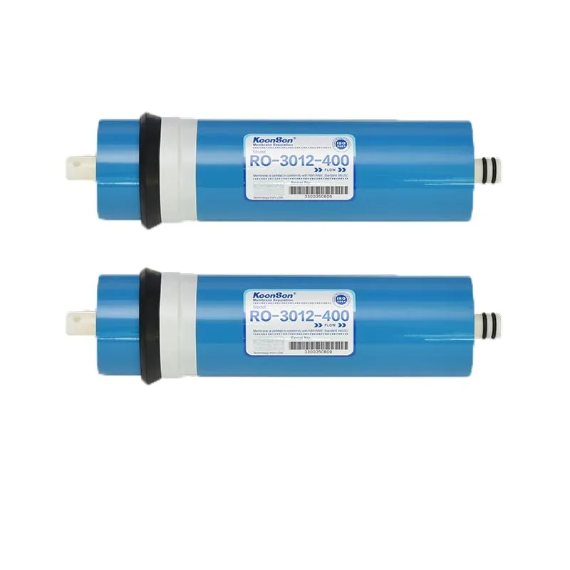 Bellerofonte membrana RO-3012-400 GPD osmosi 2 pezzi