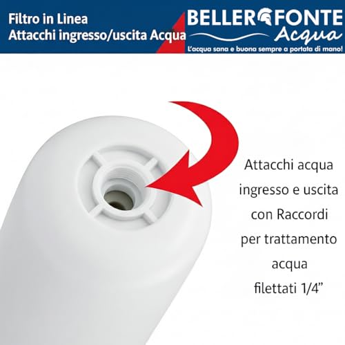 Bellerofonte filtro in linea carbone argento 12" 3 pezzi